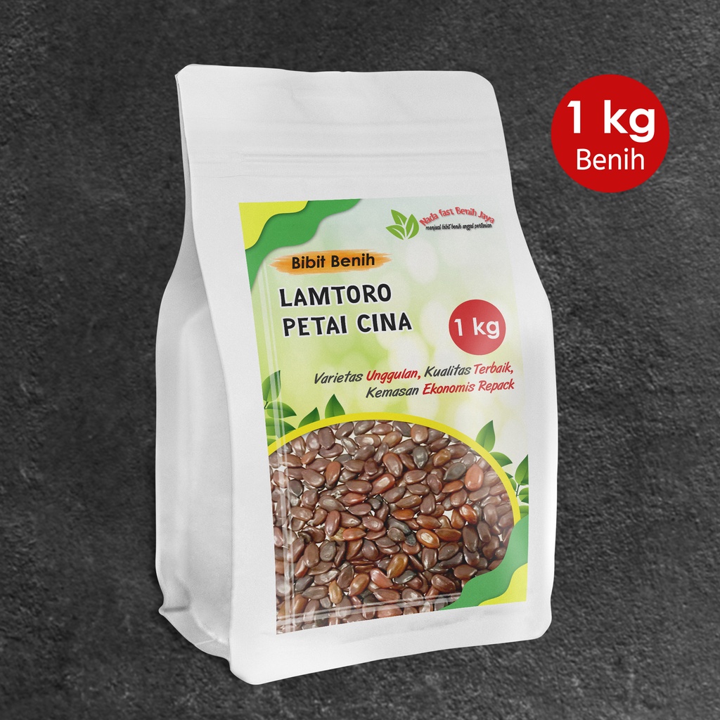 Benih bibit petai cina benih lamtoro super 1 kg
