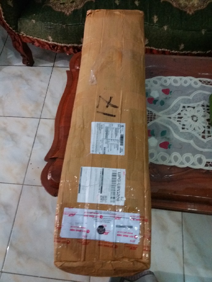 Paket Hemat Hibiscus 10pcs