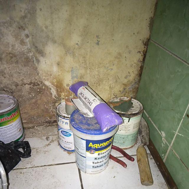 Dahlia Toilet Ball Double Action 200 Gr