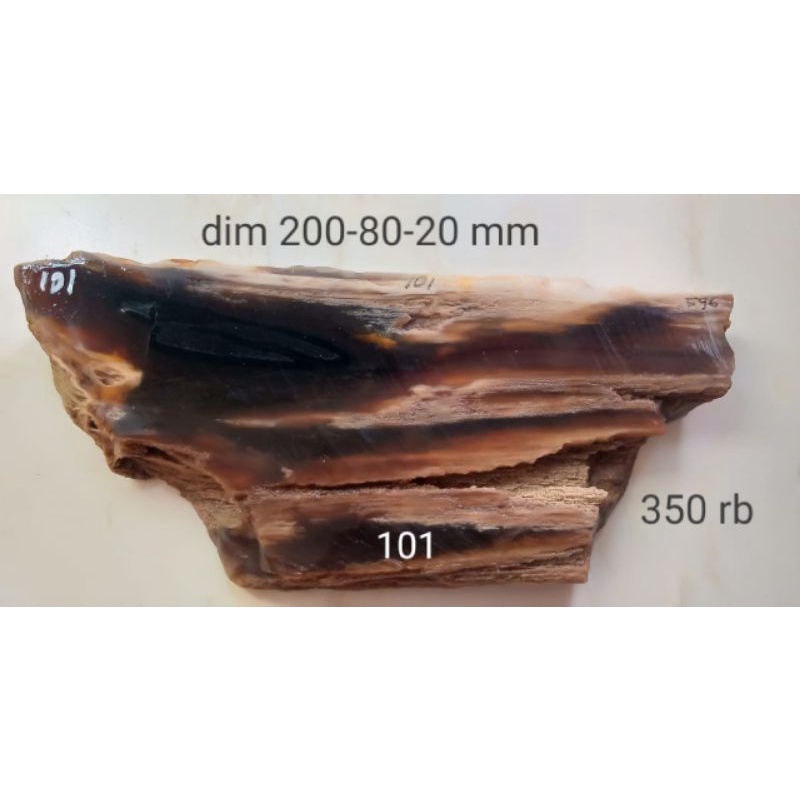 Bahan Fosil Kelor Kristal  Natural (Tembus Senter) 7