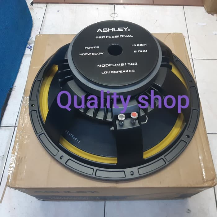 speaker 15 inch mid low