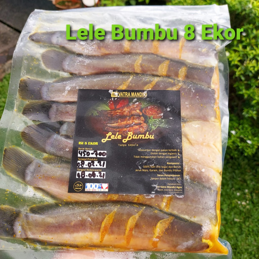 

Lele Bumbu Tampa Kepala Frozen