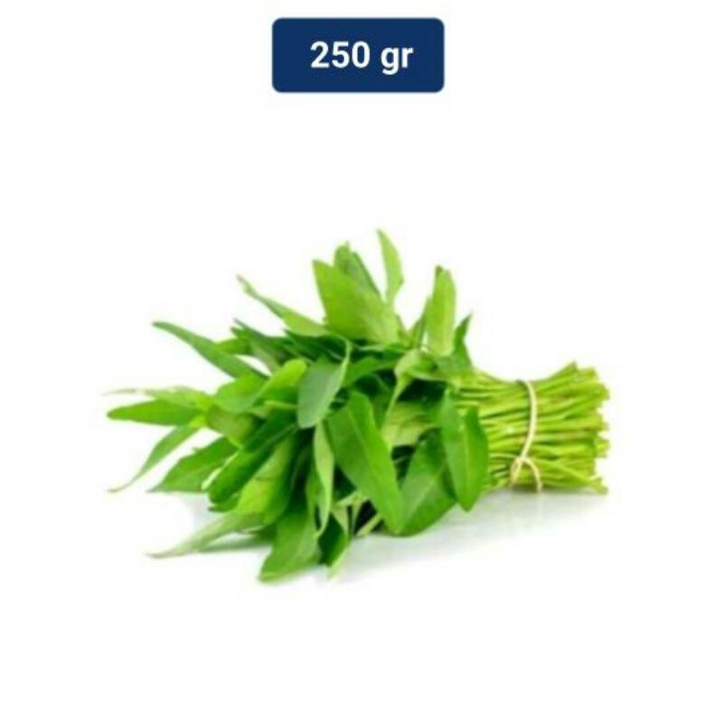 

kangkung sayur murah