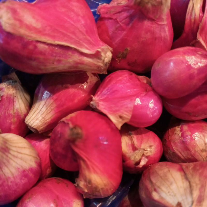 bawang merah brebes super besar 1kg