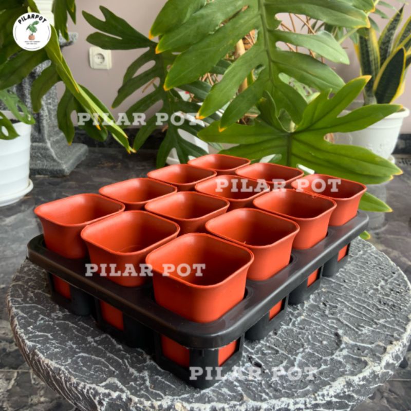 1 set Tray + pot bunga nkt kotak 5cm MERAH BATA | tray semai bibit