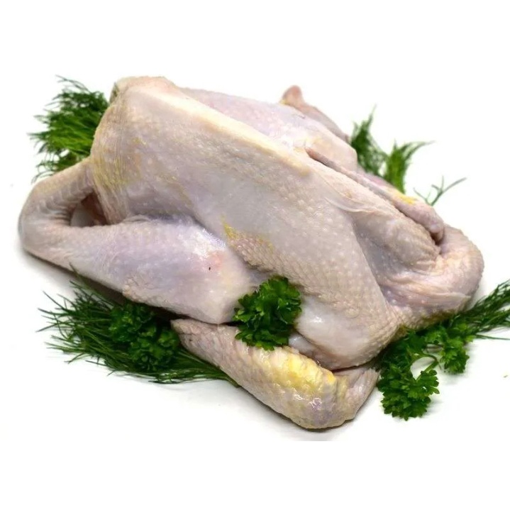 

Ayam Kampung 1 Ekor Khusus order malam