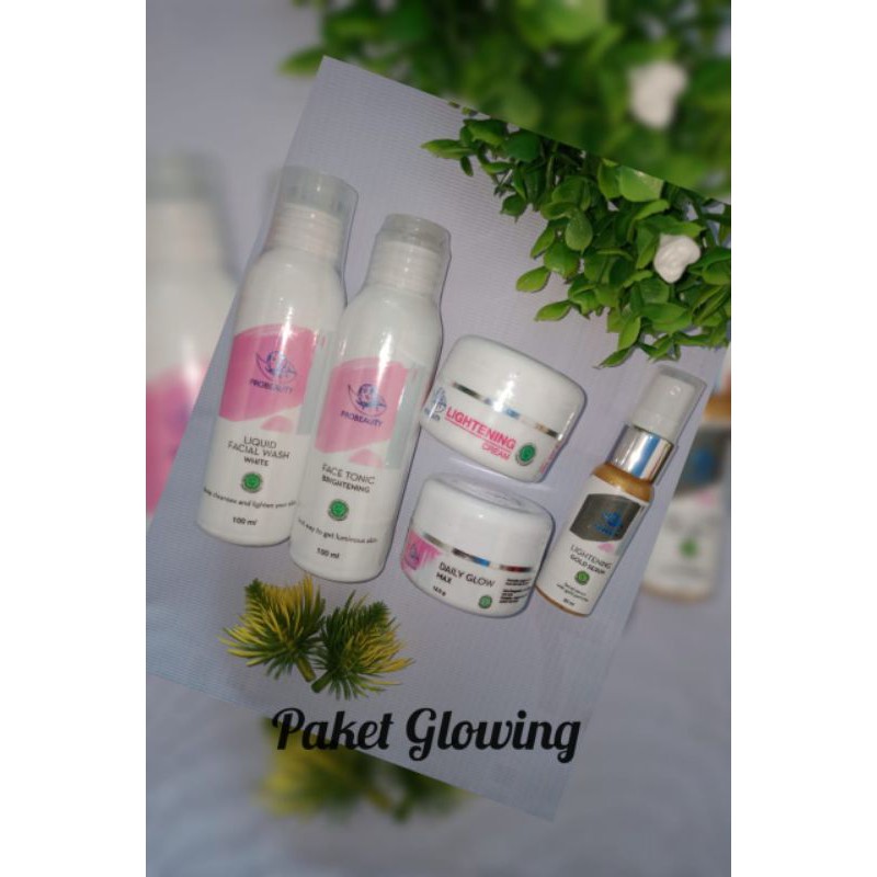 (COD) PROBEAUTY PAKET GLOWING