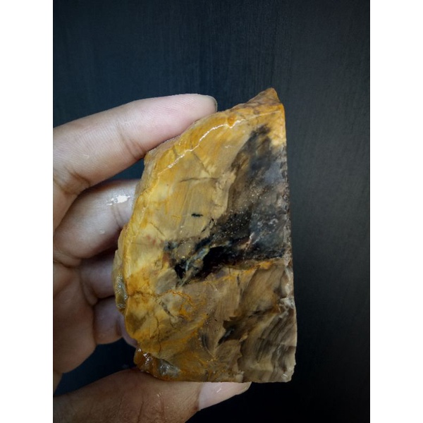Natural Fosil Kelor Kristal Motif HQ
