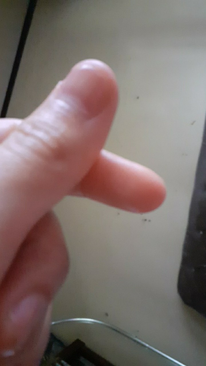 Loyang Kue Cake Bolu Bulat Besar 1 Set Isi 2pcs Tinggi 6 Cm