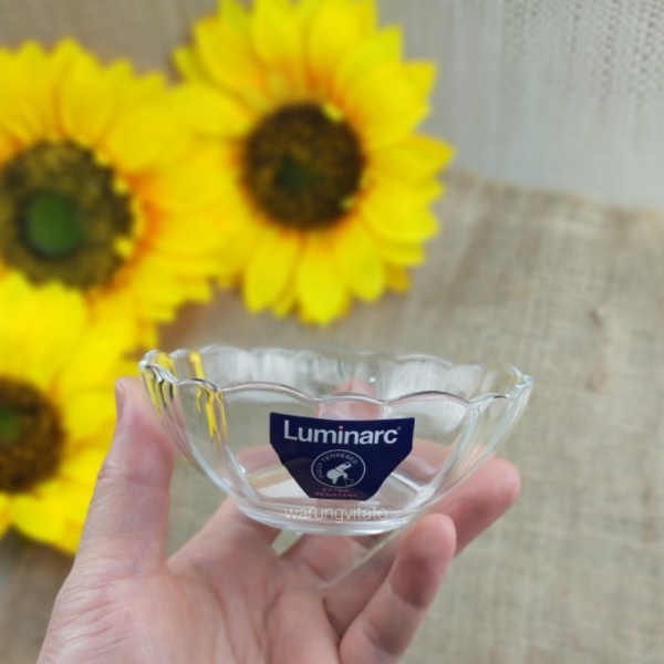 

Berkualitas LUMINARC MANGKOK BENING GELOMBANG ARCADE CLEAR 9.5CM N6174