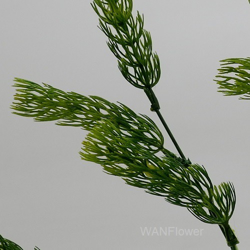 WANFLOWER Daun X5 * NOBLE