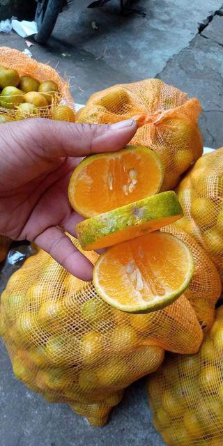 (b2501) Sepasang Besek Natural 25x25x8 Besek Anyaman Bambu Murah Besek Unik Besek Bambu Jumbo Besek