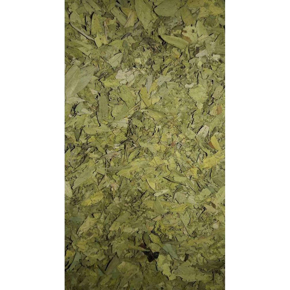 

Cuci Gudangg Teh Daun Jati Cina Asli 1 Kg. Hott