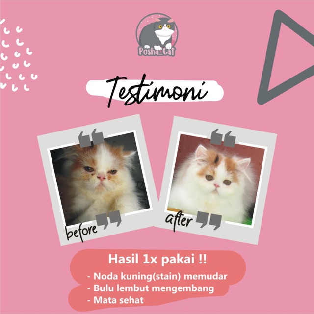 Paket Anti stain (noda) posha_cat | isi 3 produk | skincare kucing