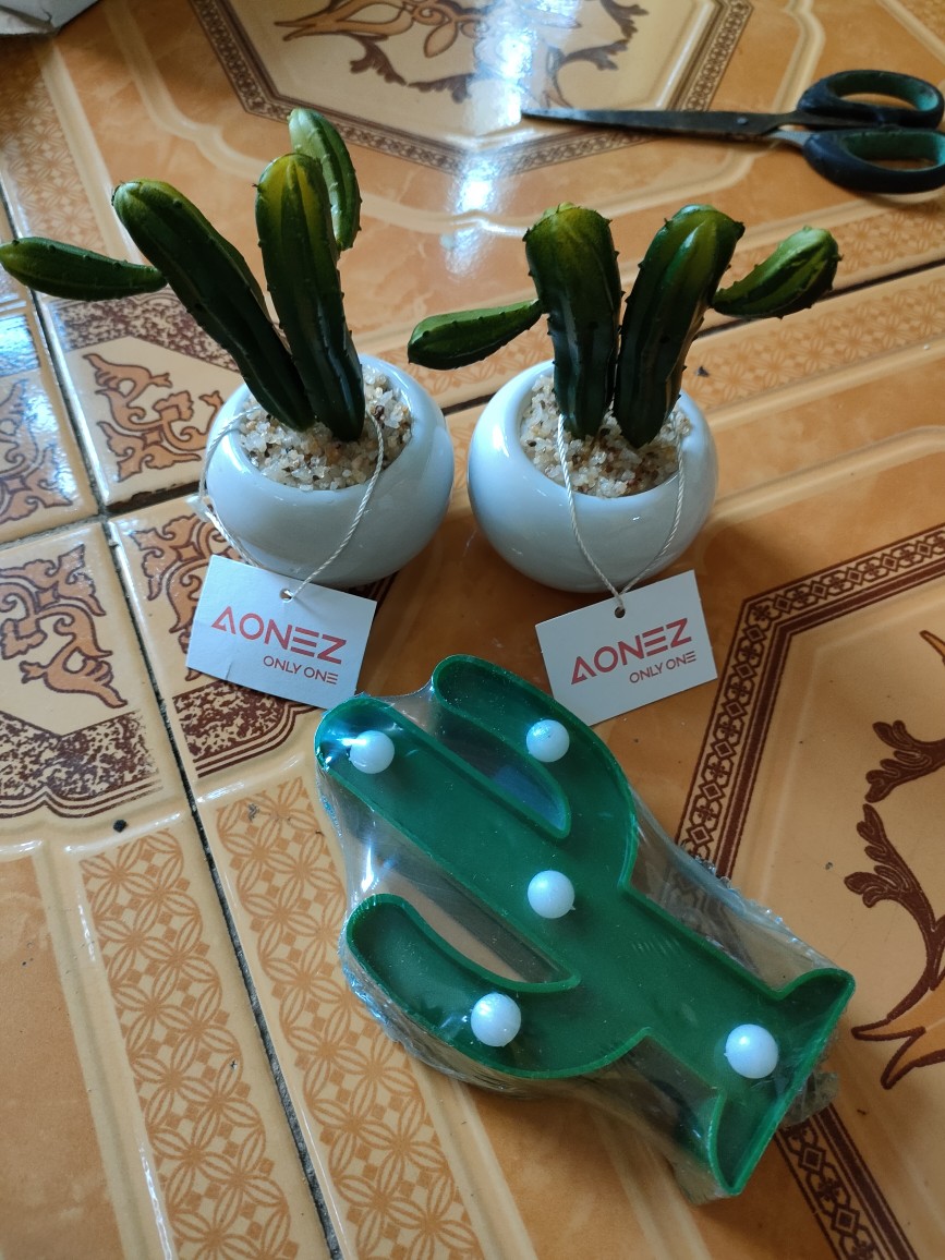 Homes Mystery Box (1 Jenis Produk)