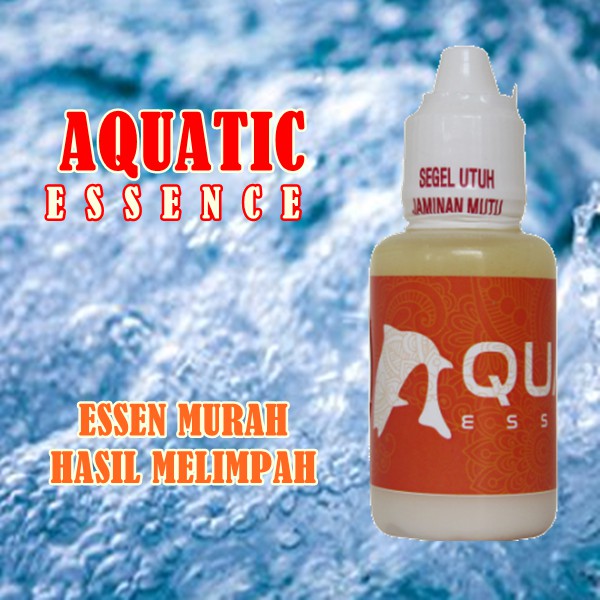 Essen Indukan Lele Babon Murah Aquatic Putih - Galatama - Lomba - Liar
