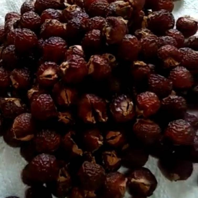 

Stok Banyak P60P0 biji lerak daging tanpa biji 1KG kualitas super W91 Buruan Beli