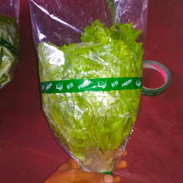 

Plastik packing sayur ukuran 26×45 ketebalan 03