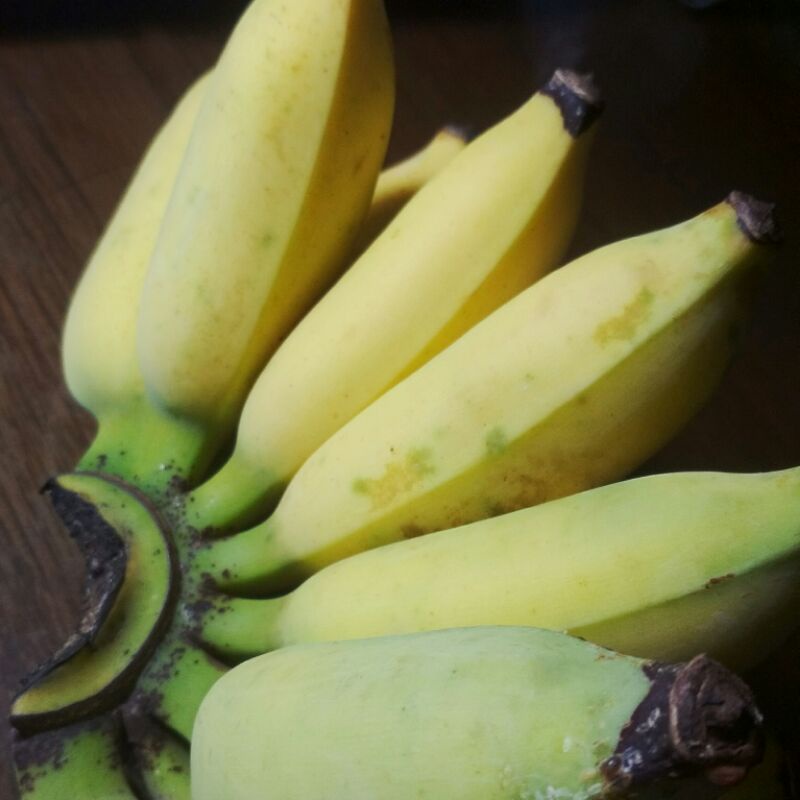 

Pisang Uter Pisang Awak Pisang Raja Tonto Pisang Siam Pisang Siem Segar per sisir Makanan & Minuman Makanan Segar & Beku Buah - buahan Sayur - Sayuran Segar per sisir jumbo