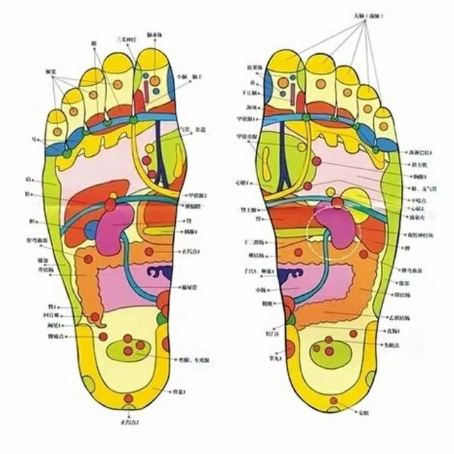 Ramuan Herbal Tempel Kaki Detox isi 10 / koyo kaki