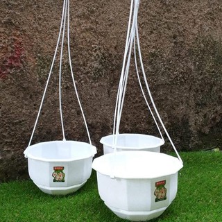  pot  bunga gantung  gardenia no 08 lionstar 22cm warna putih 