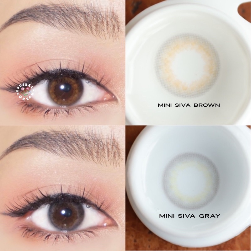 softlens mini siva gray &amp; brown natural original korea