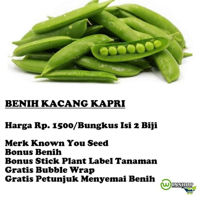 

Buruan Beli.. Biji Benih Bibit Seeds Kapri Kacang Kapri