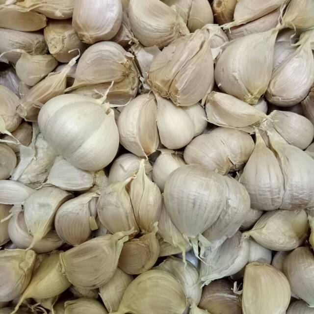 Bawang Putih Kating 1 kg Sudah bersih Fresh Kualitas Super  Shopee