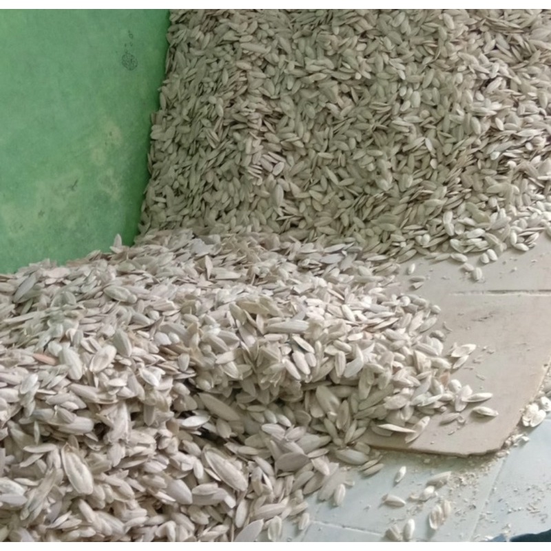 Tulang Sotong 5-7 cm curah untuk serbuk tepung sotong / tulang sotong per 1 gram / tulang sotong / b