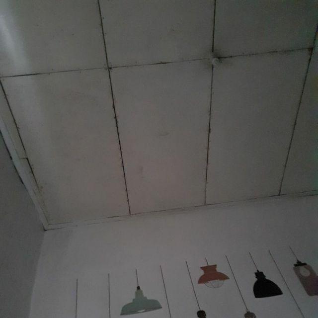 Rinso Anti Noda + Molto Royal Gold Bubuk Detergen 770