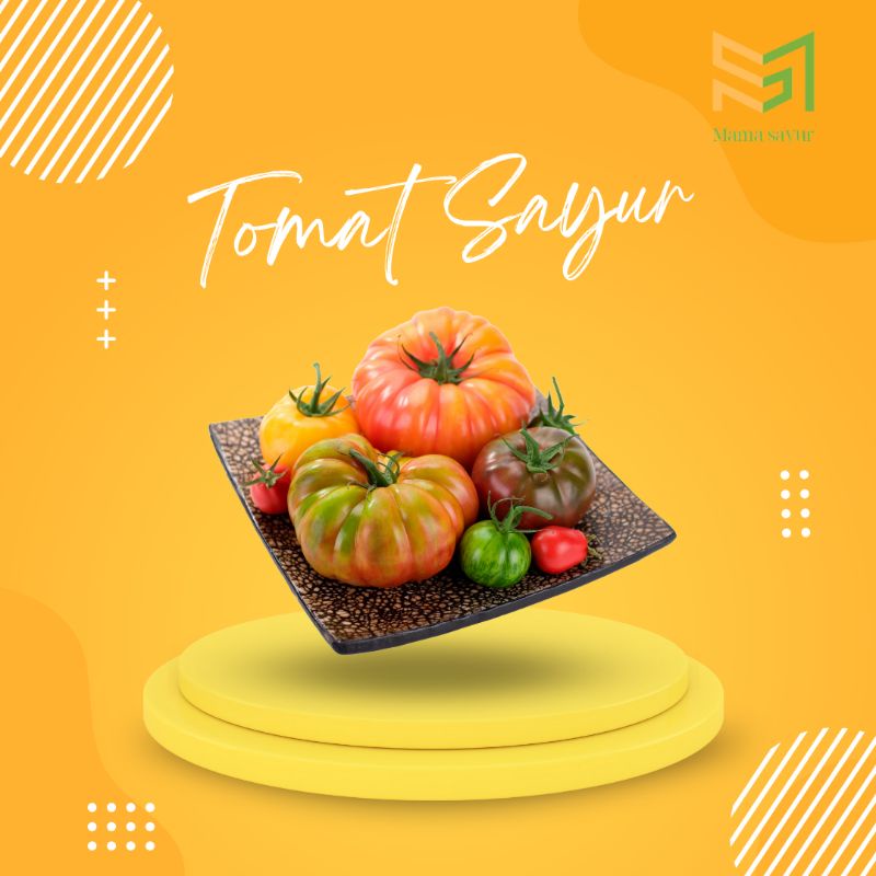 

Tomat keriting segar per pack