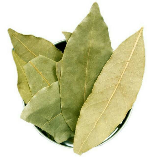 

Daun Bayleaves 10 gr Daun Bay Leaf Kemasan 10 Gram Re Pack Packing Pla - Bu19