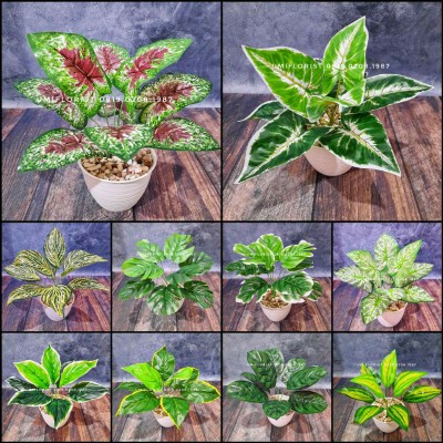 Buket Mini Daun Monstera Grup Artificial New