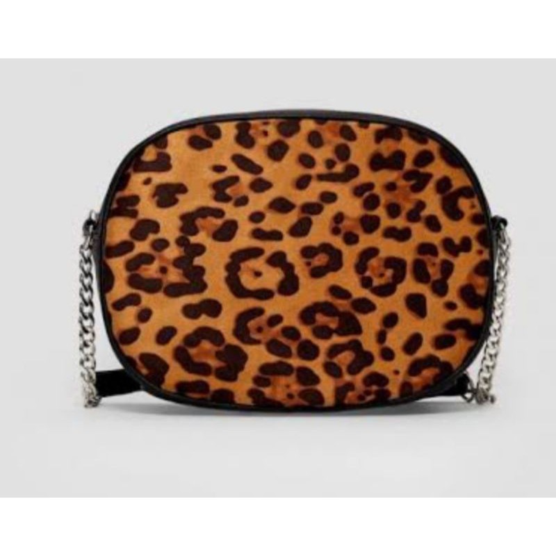 tas stadivarius original