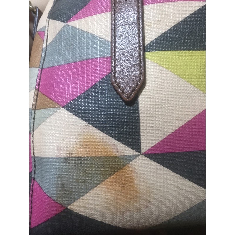 tas fossil