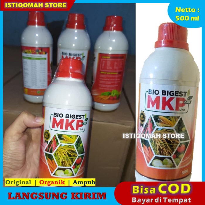 BAYAR COD DI RUMAH BIO BIGEST 500ml MKP Cair Plus Obat Anti Rontok Bunga dan Buah Cabe - Pupuk Cair Penyubur Tanaman Cabe dan Anti Rontok Buah Cabe yang Bagus &amp; Mujarab Murah TERLARIS