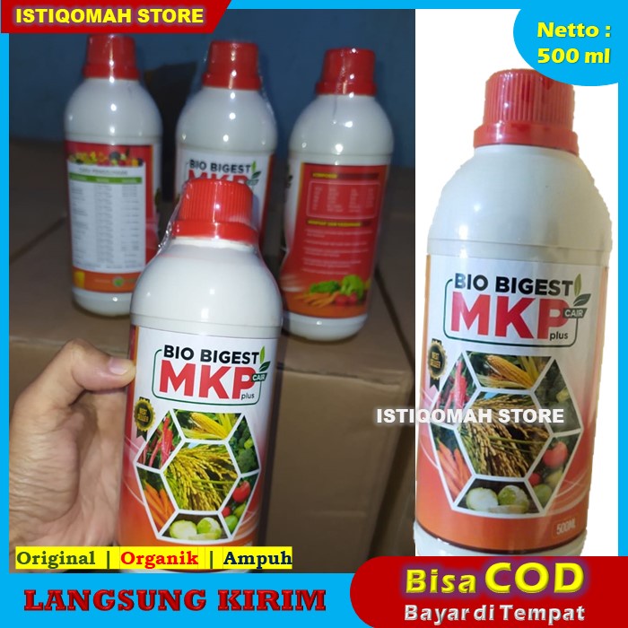 BAYAR COD DI RUMAH BIO BIGEST 500ml MKP Cair Plus Obat Anti Rontok Bunga dan Buah Cabe - Pupuk Cair Penyubur Tanaman Cabe dan Anti Rontok Buah Cabe yang Bagus &amp; Mujarab Murah TERLARIS