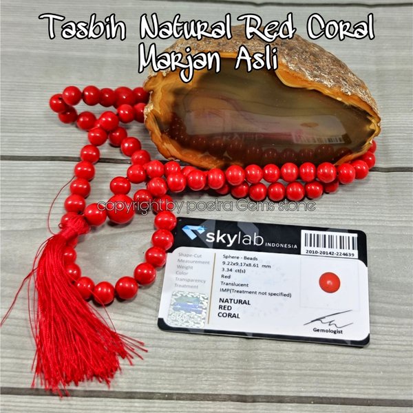 Tabsih Marjan Red Coral Original