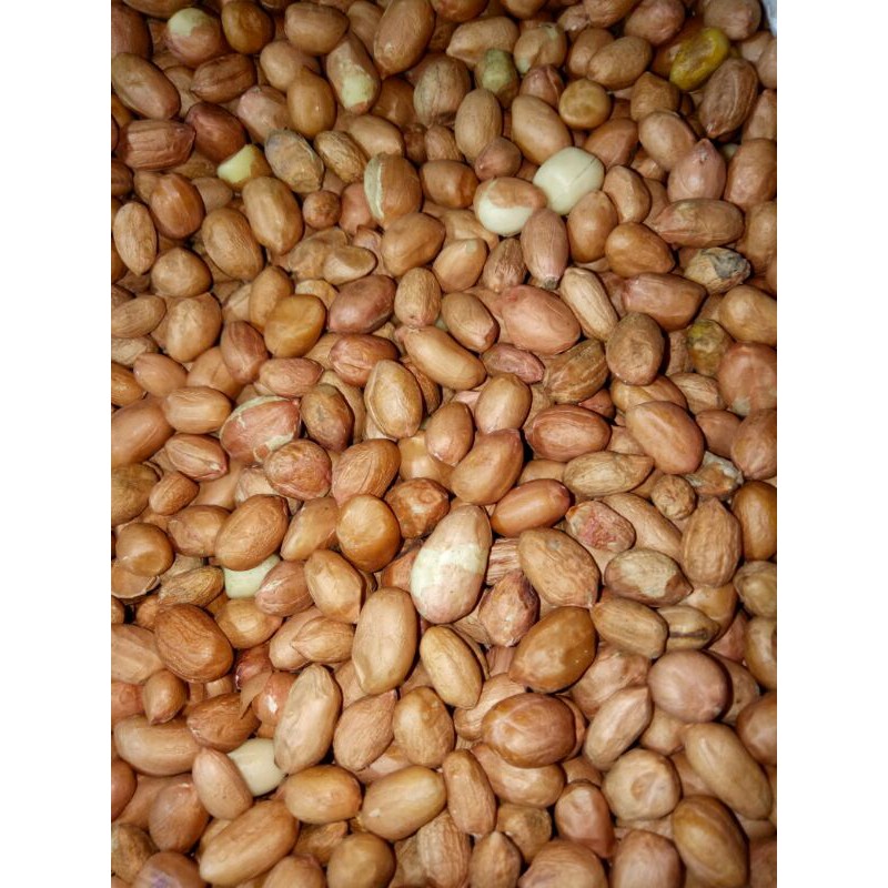 

Kacang tanah kulit curah 500gr