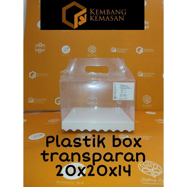 Plastik Box Transparant 20x20x14