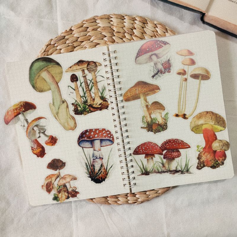 

STIKER BOTANICAL MUSHROOM