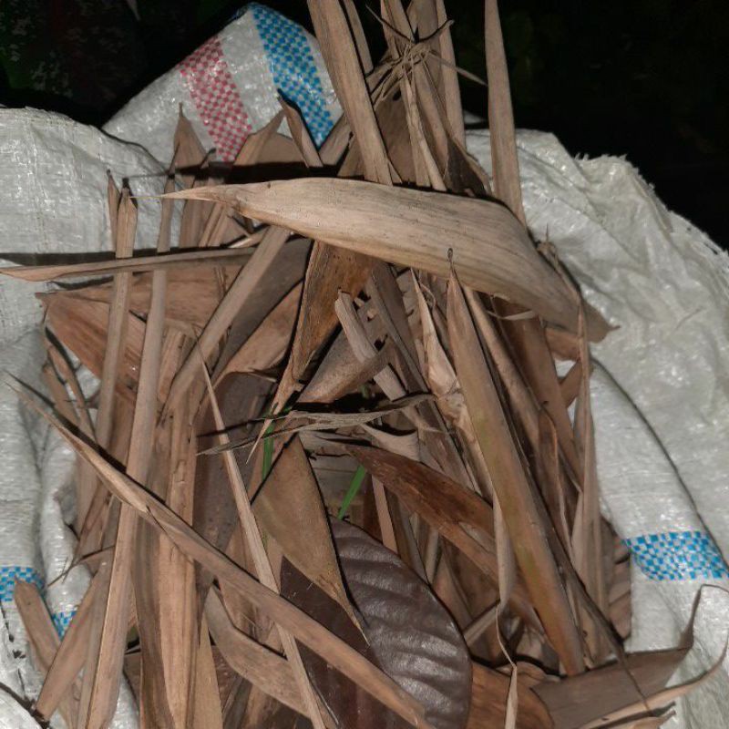 daun bambu kering