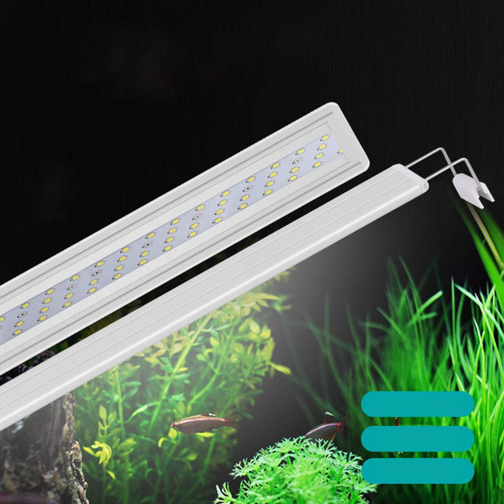 LAMPU AQUARIUM / ROXIN LED GX A600 / AQUARIUM / AQUASCAPE