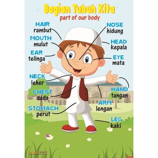 Tipe 06 Poster Pendidikan Belajar Anggota Tubuh Anak ...