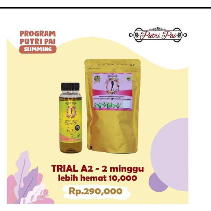 

PAKET TRIAL A