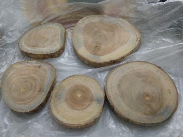 Wood Slice Potongan Kayu Jati Diameter 9 - 10 Cm