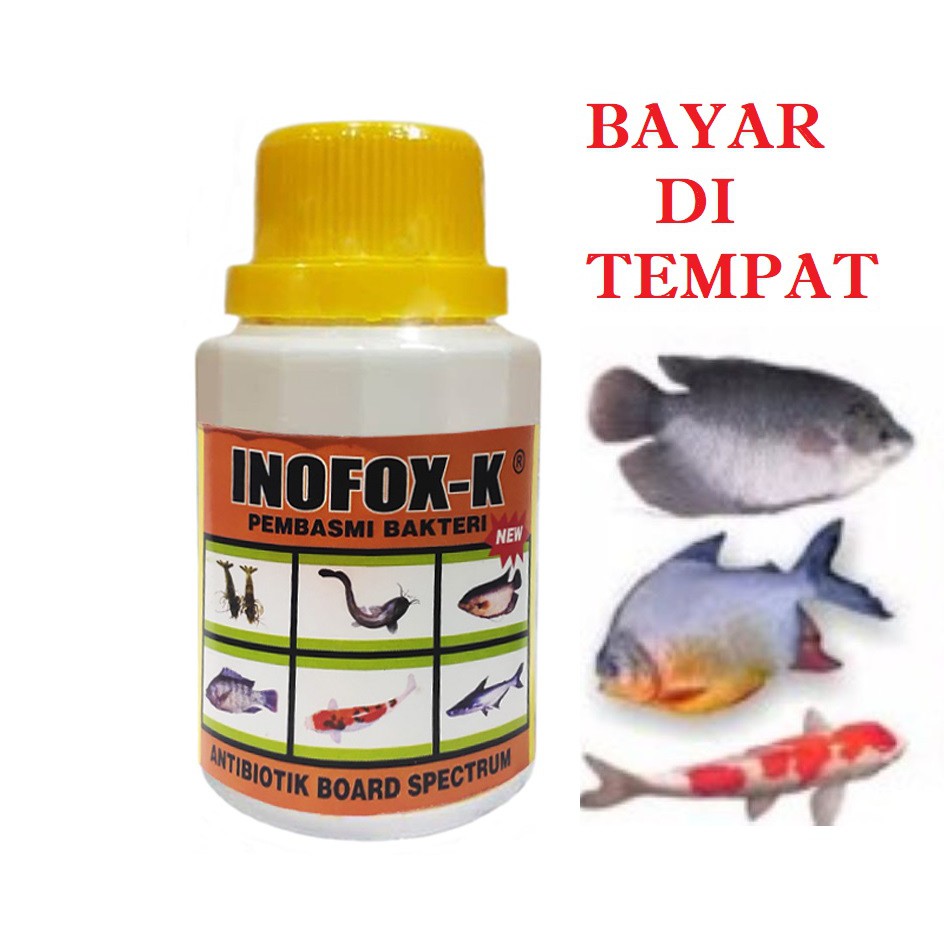 OBAT JAMUR IKAN HIAS MURAH INOVOX -K PEMBASMI BAKTERI IKAN LELE GURAME BAWAL PATIN MAS AMPUH