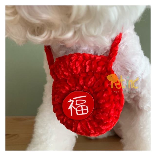 Ang pao necklace
