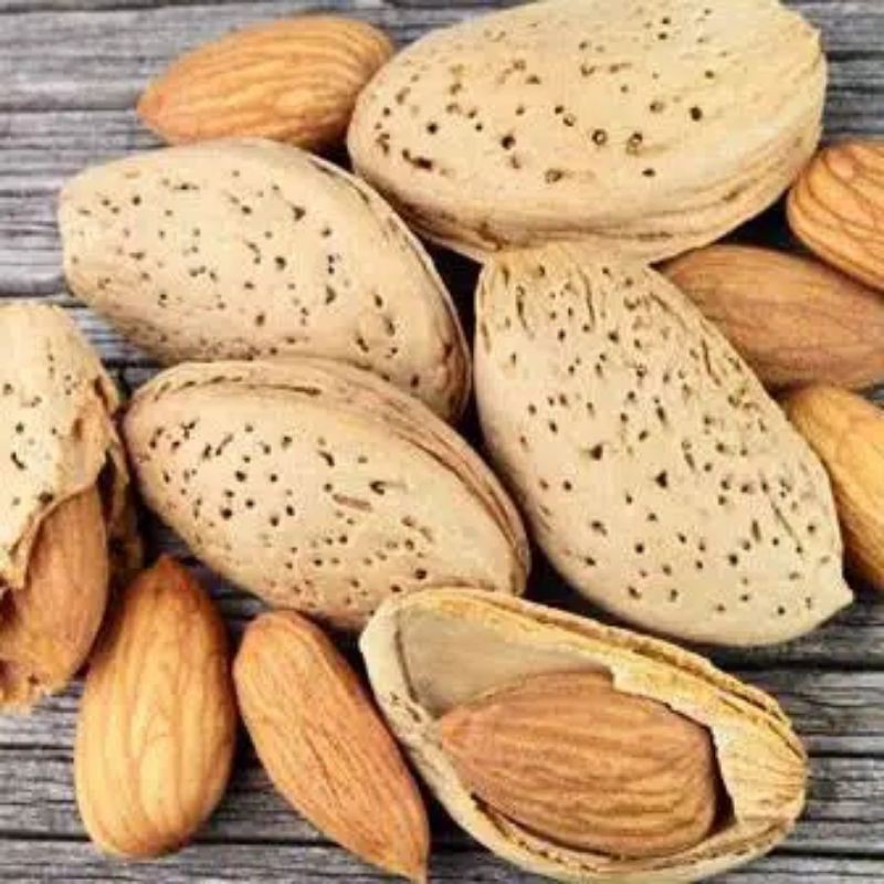 kacang almond panggang 1kg