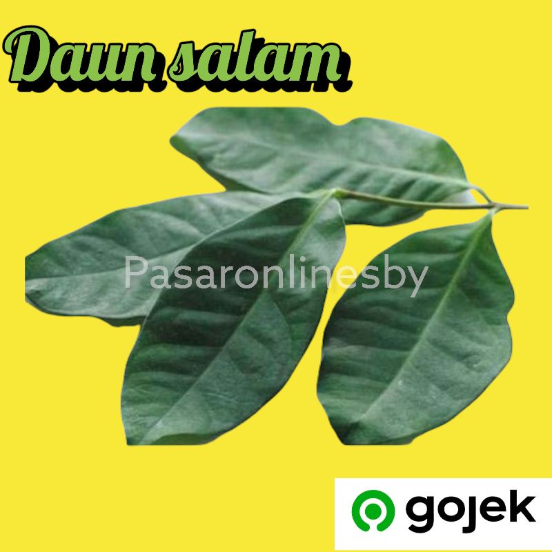

PASAR GUBENG - Daun Salam - Per Pack